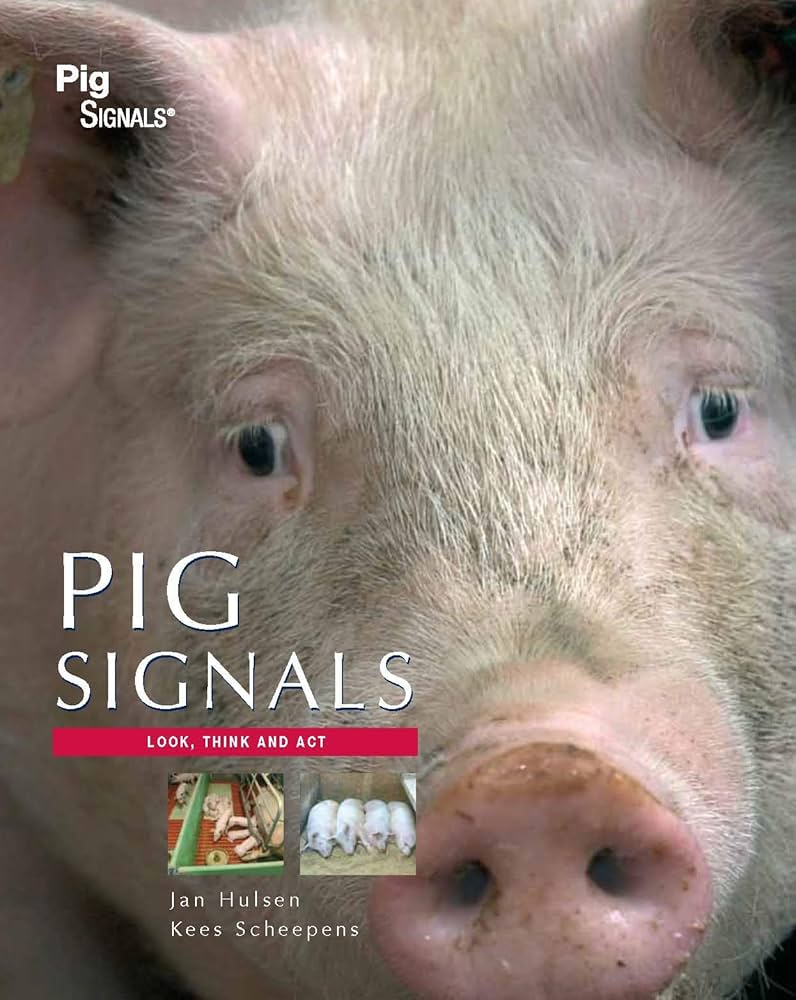 Amazon.co.jp: Pig Signals: Look think and act : 本